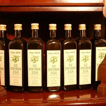 招待所 普帕住宿加早餐酒店 哥尔顿